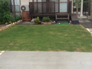 我が家の芝生