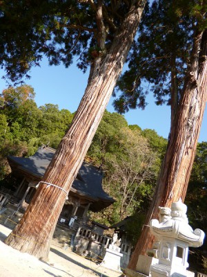 神社 (1)